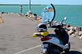 05Darwin (07)
